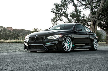 Black BMW parked near tree on a sealed country road